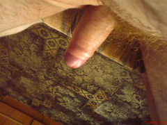 DSC00106.jpg