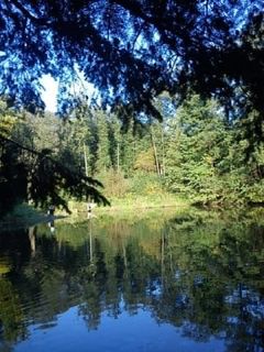 DSC00080.jpg