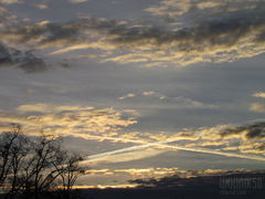 IMG_6328.JPG
