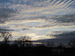 IMG_6327.JPG
