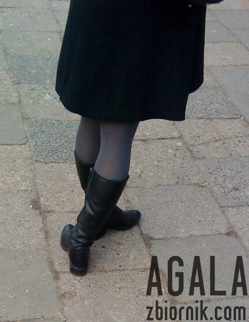 DSC06207v.jpg - AGALA