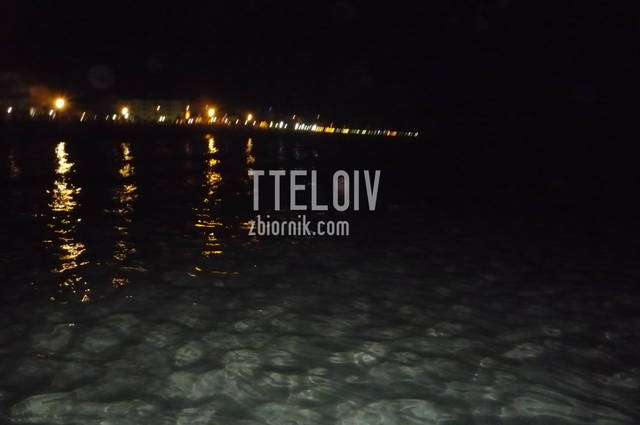 P1020442.JPG - tteloiv