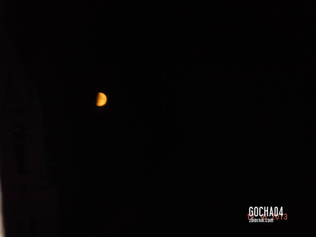 gocha04