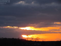IMG_6380.JPG