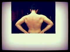 Motyle