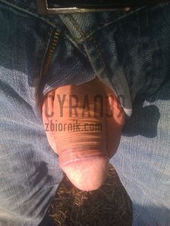 IMAG0040.jpg