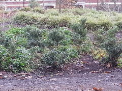 20140108_121220.jpg