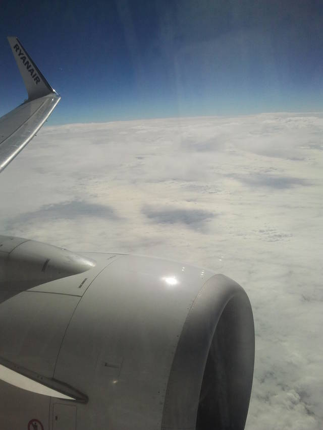 Nimfo87