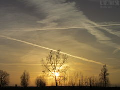 IMG_6694.JPG