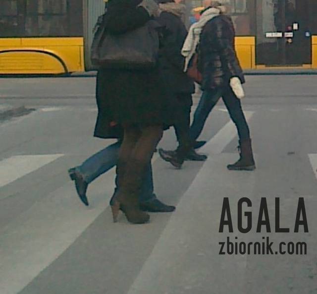 230120144261v.jpg - AGALA