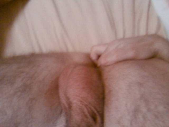 reder45