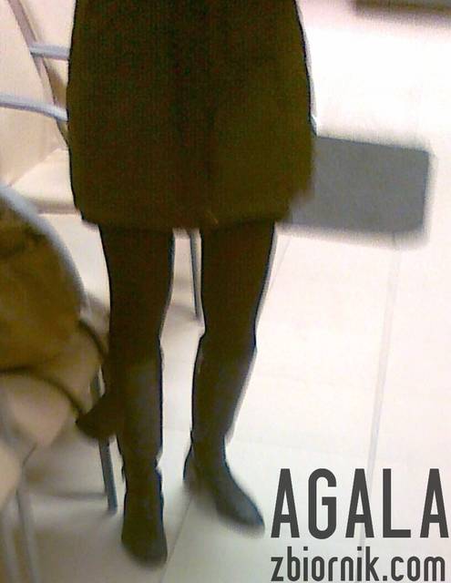 290120144281cz.jpg - AGALA