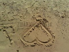 IMG_20130806_120630.jpg