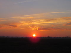 IMG_6951.JPG