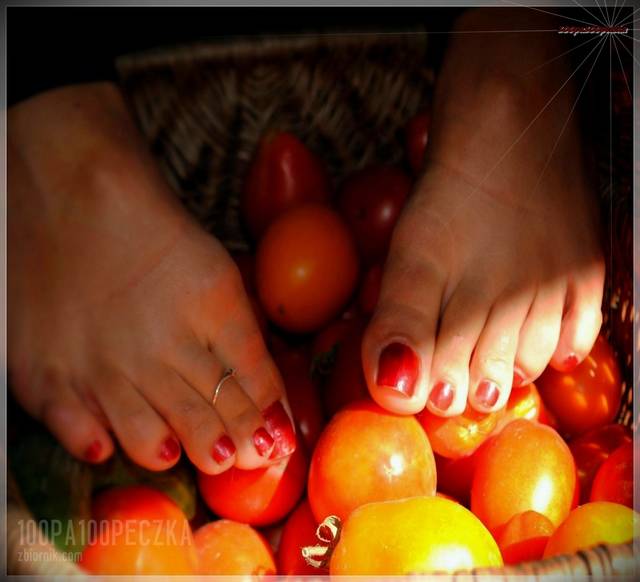 Tomato Feet 02 - 100pa100peczka