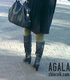 170220144392kol.jpg