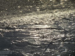 IMG_7000.JPG