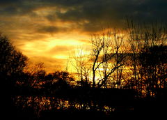 P1030560-2.JPG
