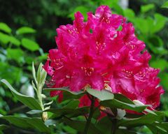 DSC_2184.JPG