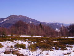 IMGP0412.JPG