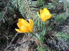 DSCN0520.JPG