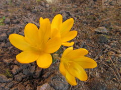 IMG_7042.JPG