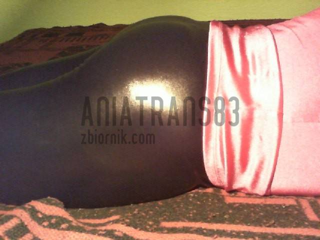 aniaTrans83