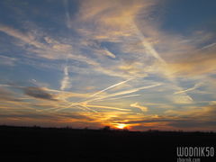 IMG_7319.JPG