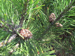 IMG_7344.JPG