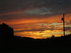 10 .28.06 004.jpg