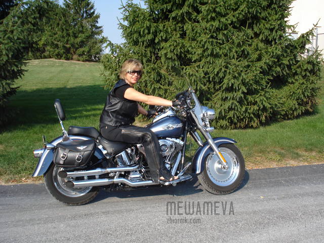 Harley Davidson - MewaMeva