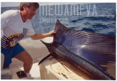 Sailfish