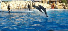 DSC09482-crop.JPG