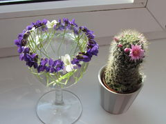 IMG_7746.JPG