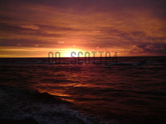 on_scottp4