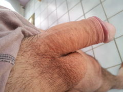 sgs_095510.jpg