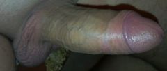 23072012007.jpg