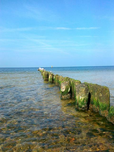 Lato coraz bliżej... - cartagina