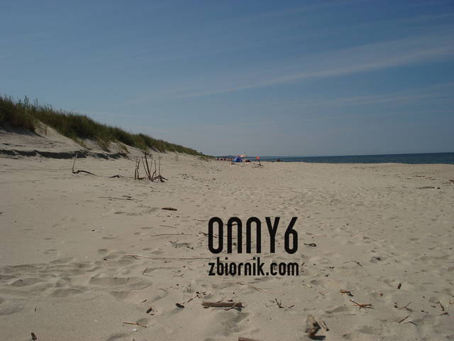 DSC02823.JPG - onny6