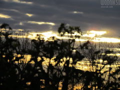 IMG_7859.JPG