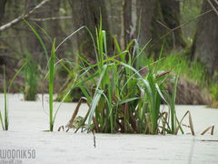 IMG_7913.JPG