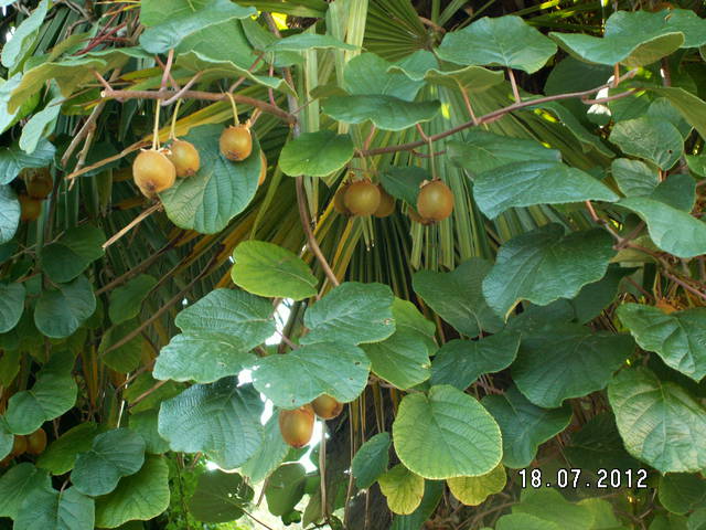 PICT5488.JPG - emyg