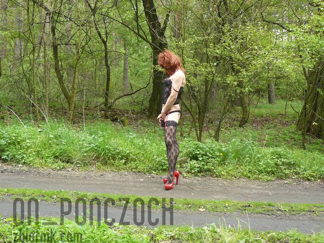 P1080474.JPG - on_ponczoch