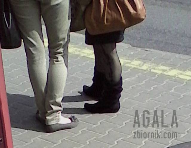 IMG_20140506_145717odj.jpg - AGALA