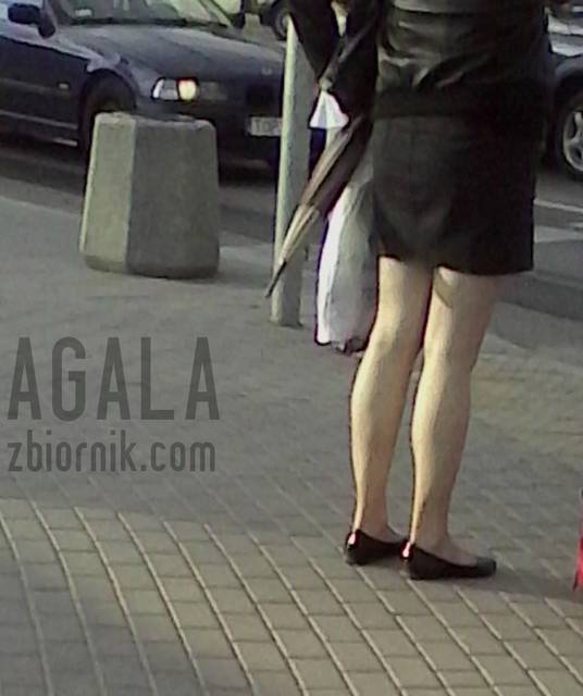 IMG_20140509_18401kl.jpg - AGALA