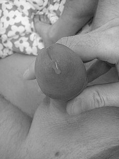 DSC02524bw.JPG