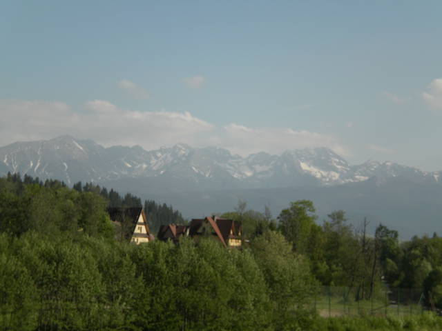 12.JPG - yans1