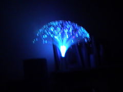 PIC_0924.JPG