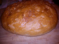 DSC00455.jpg