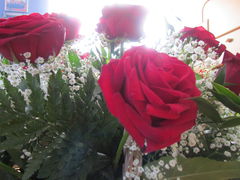 IMG_8485.JPG